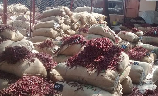 Red Chilli Gallery 2