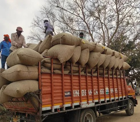 Red Chilli Gallery 2